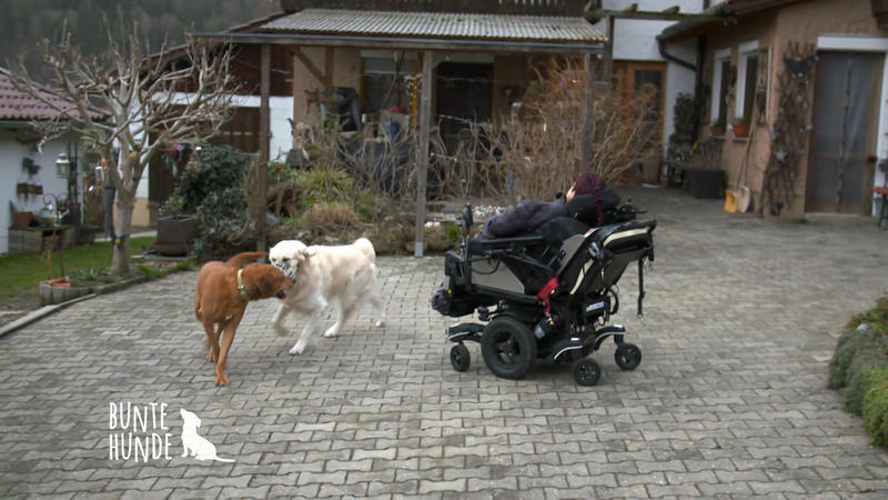 Das Erziehungs-Bootcamp von Denise
