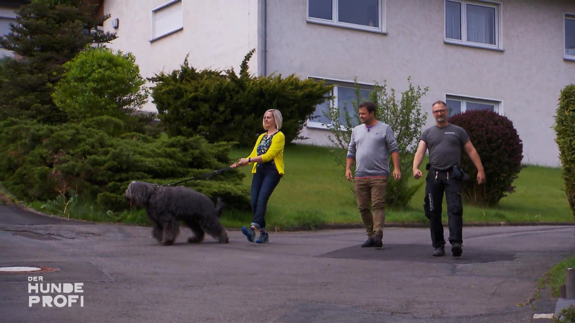Beim Gassi gehen rastet Hund Poldi aus