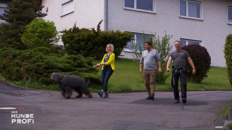 Beim Gassi gehen rastet Hund Poldi aus