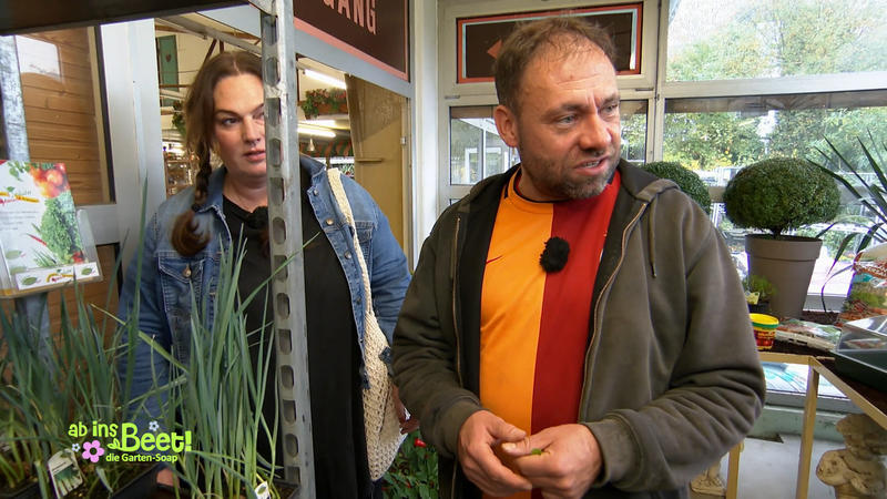 Passende Pflanzen für das Gewächshaus