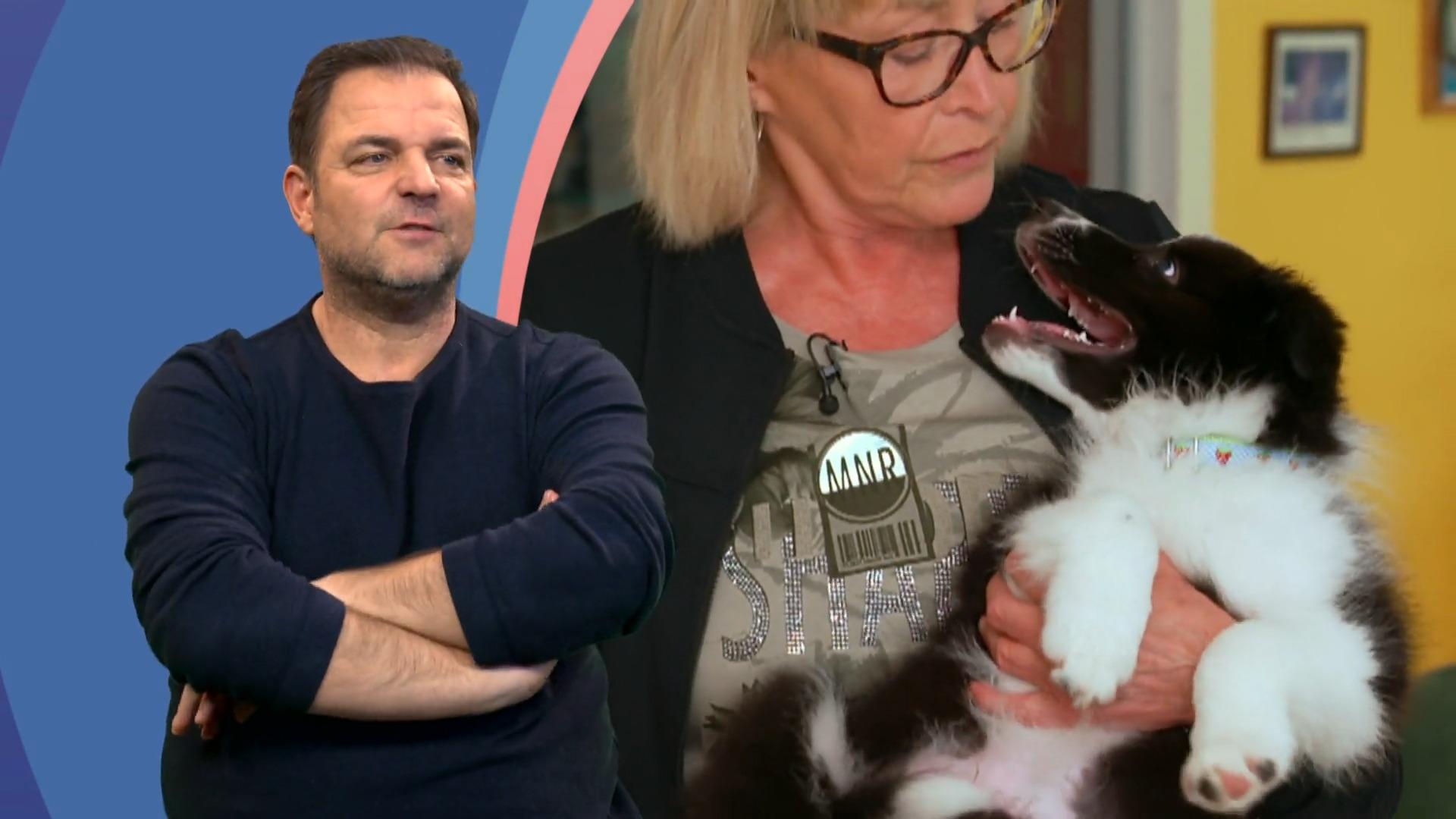 Welpe Moritz wird jetzt trainiert