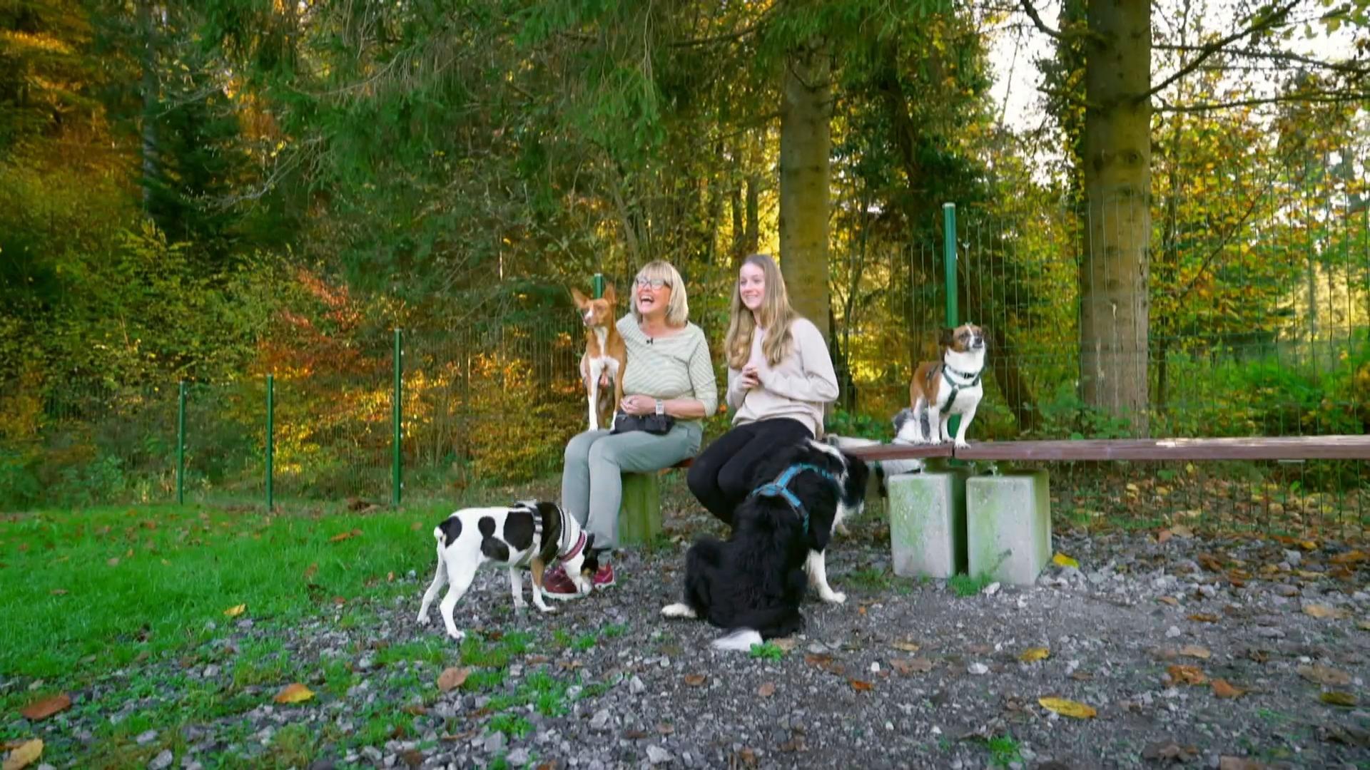 Junghund Moritz wächst in einem Rudel auf