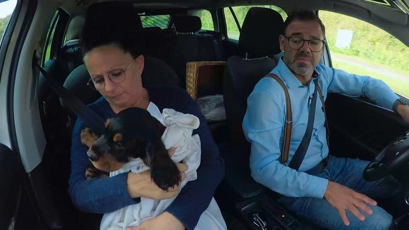 Vermisst Beau seine Familie?