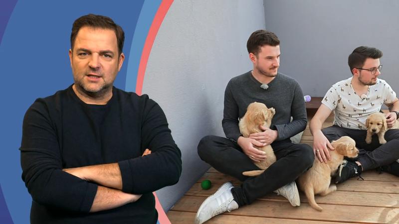 Golden Retriever-Welpe als Kinderersatz