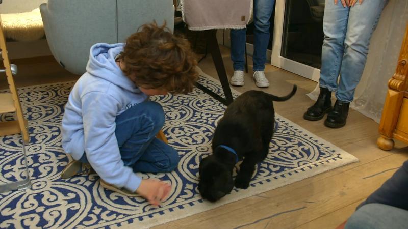 Kleine Hündin erkundet ihr neues zu Hause