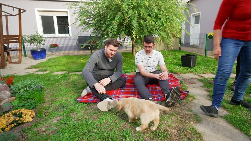 Wunschhund macht einen Wesenstest