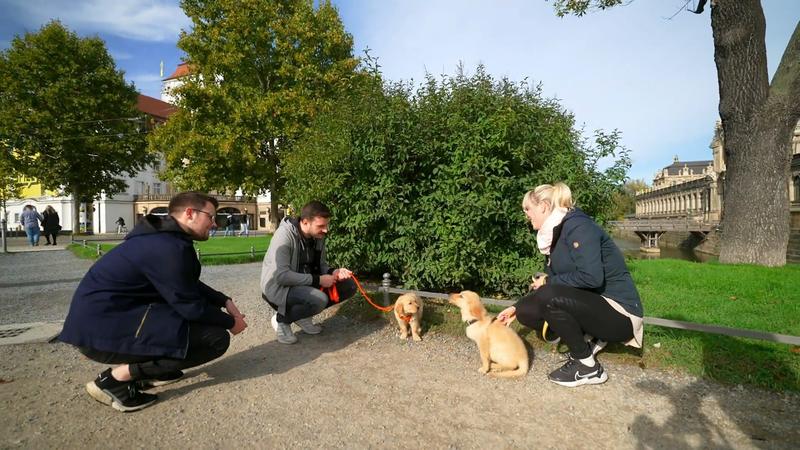 Welpe Quinn trifft einen fremden Hund