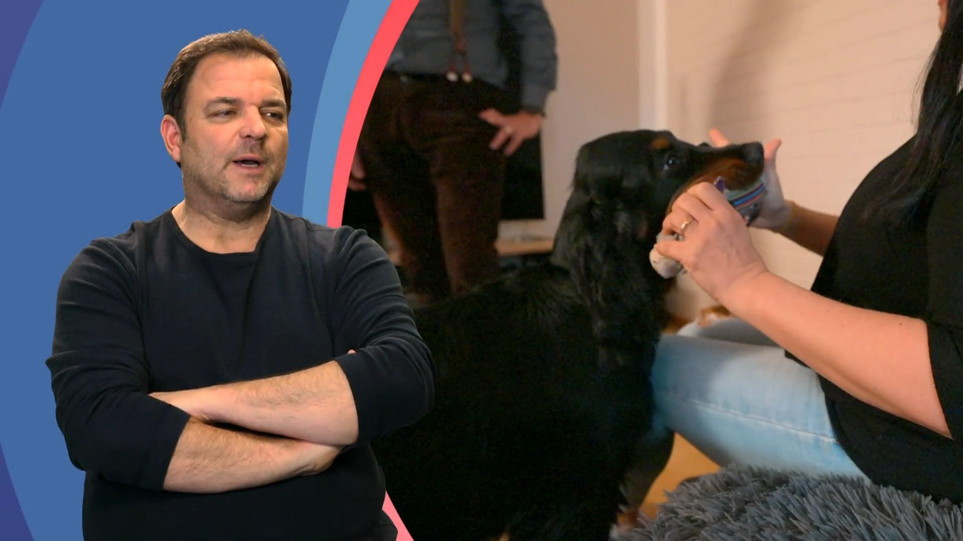 Ist Beau nicht genug ausgelastet?