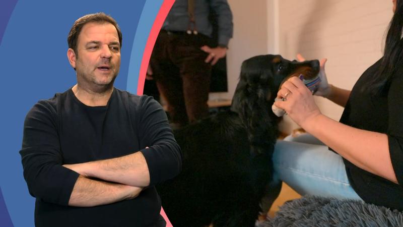 Ist Beau nicht genug ausgelastet?