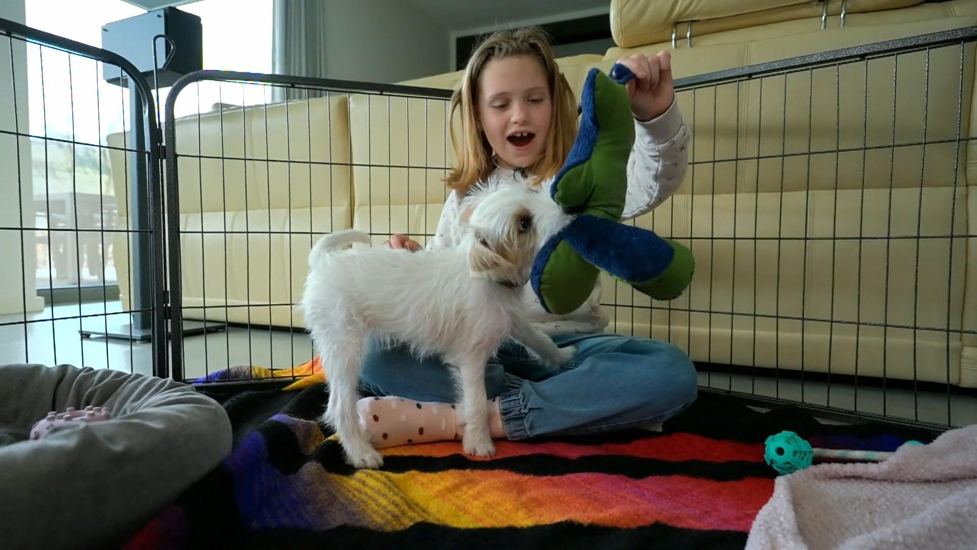 Rudi hat alle Herzen erobert