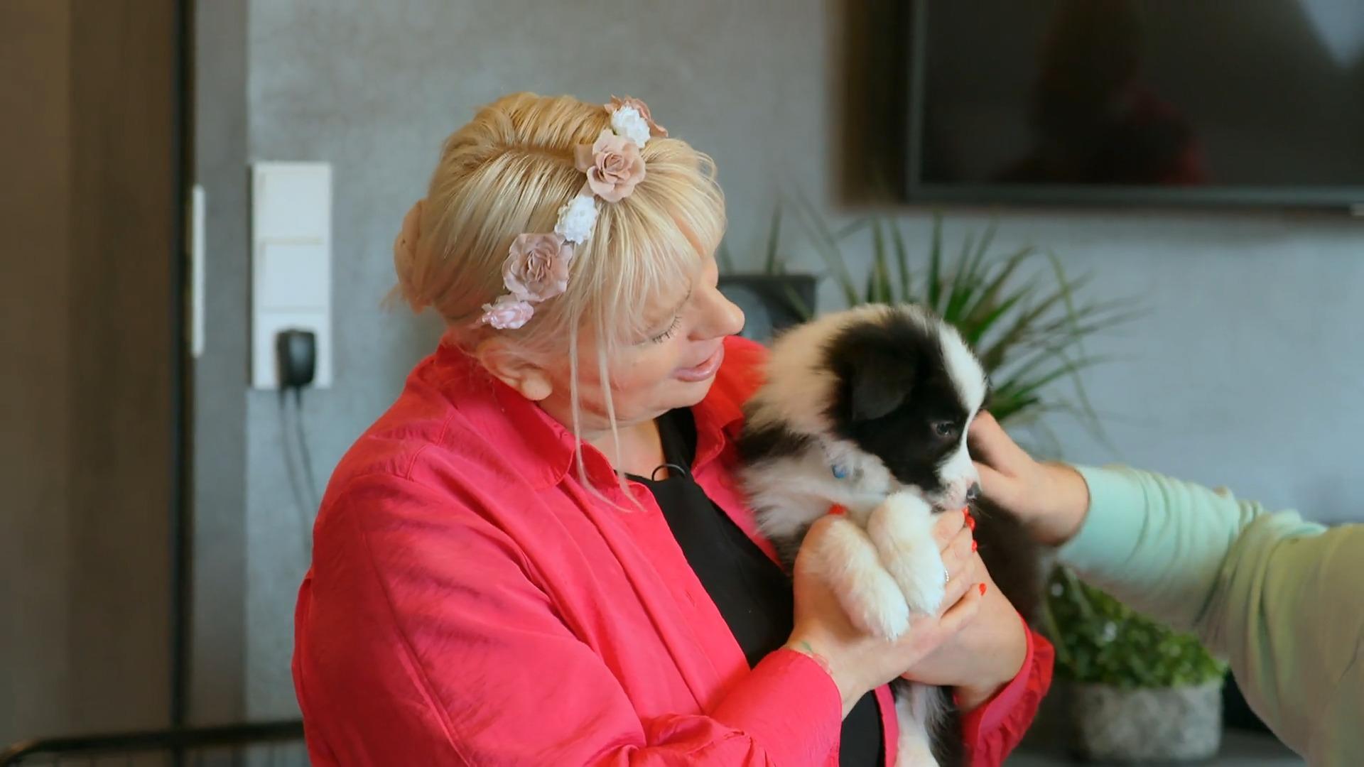 Die Entscheidung ist gefallen!