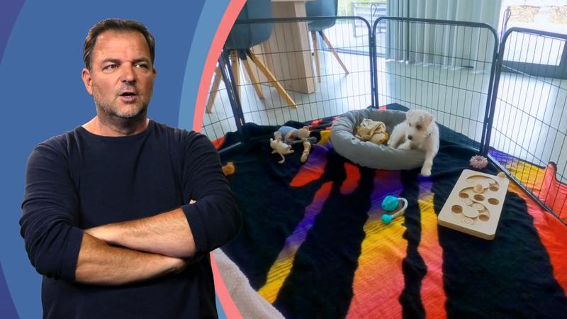 Rudi allein zu Haus!