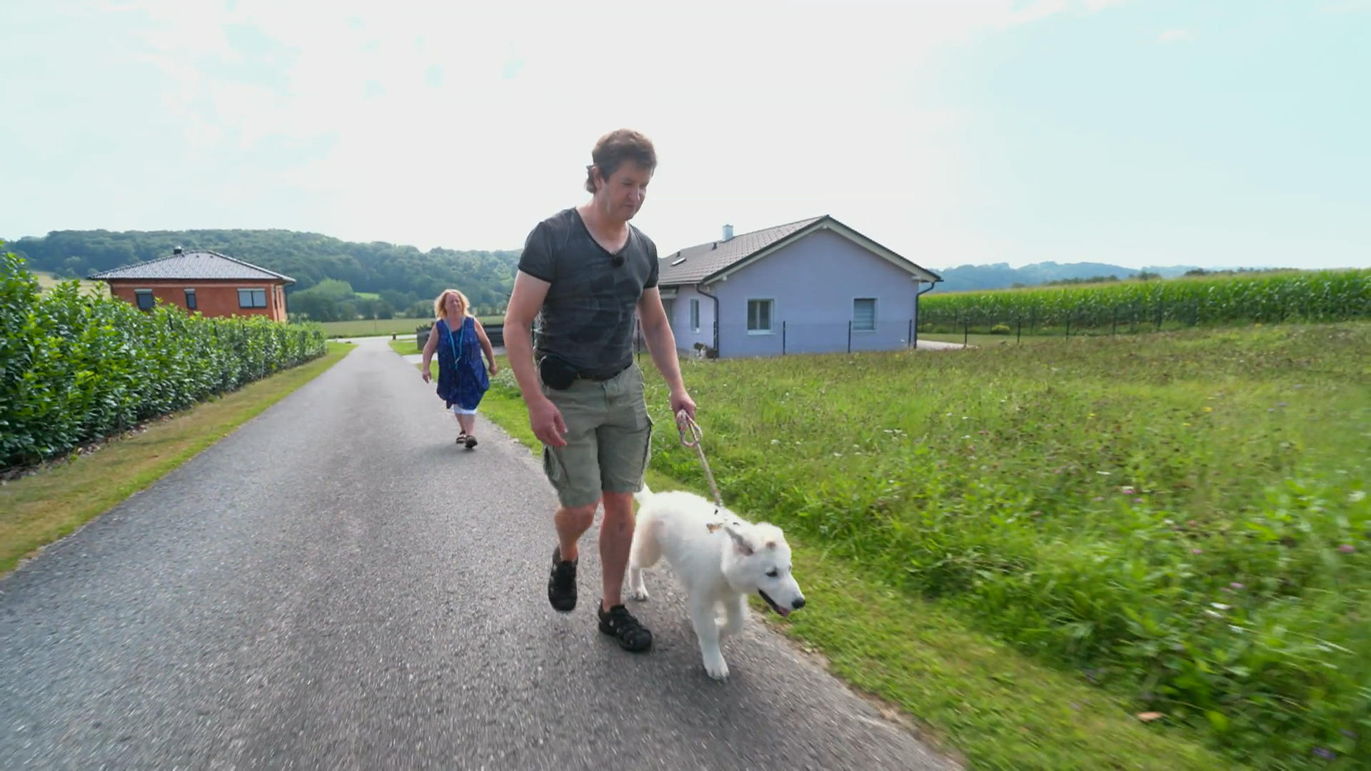 Die Entwicklung von Blindenführhund Falco