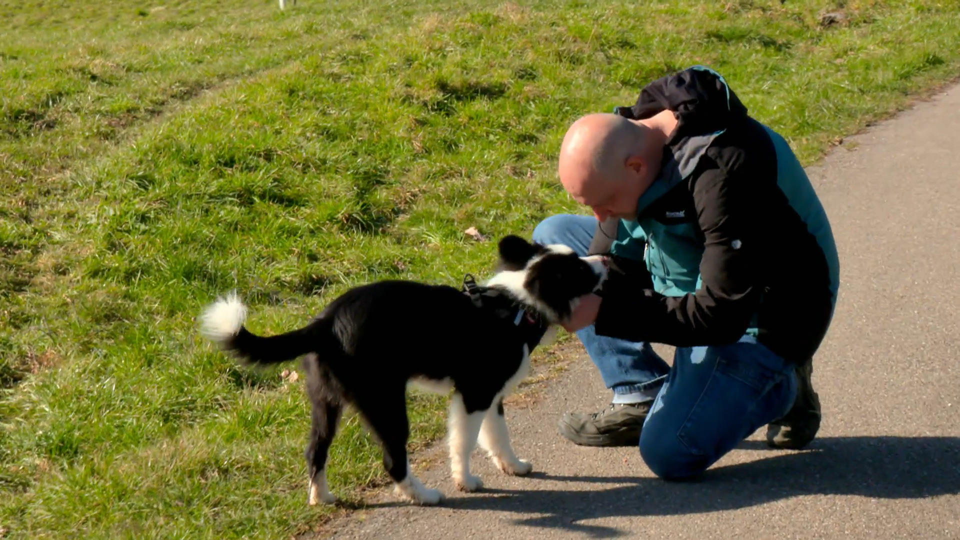 Beste Freunde und Alltagshelden