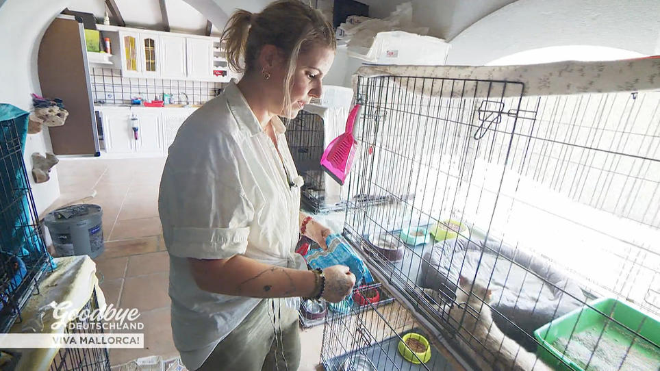 Schwere Anschuldigungen gegen Sina