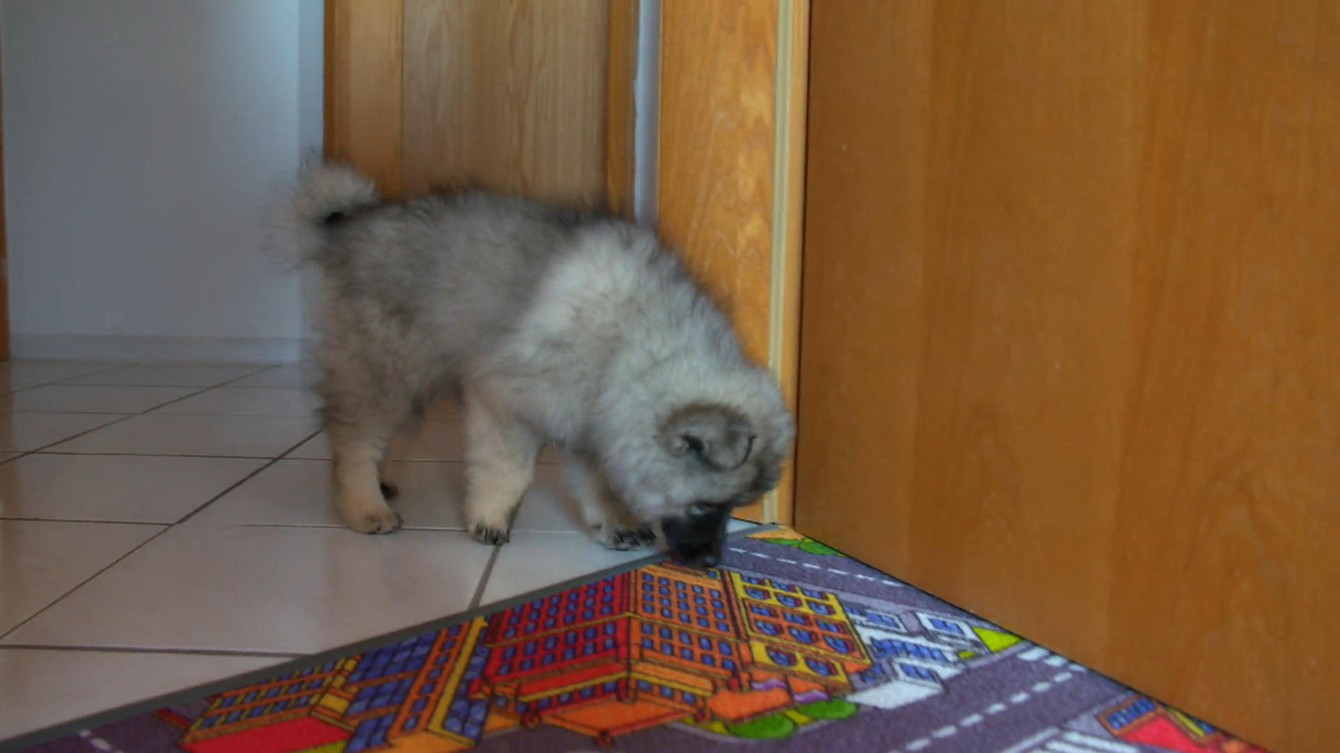 Skadi - Mit voller Blase auf Erkundungstour