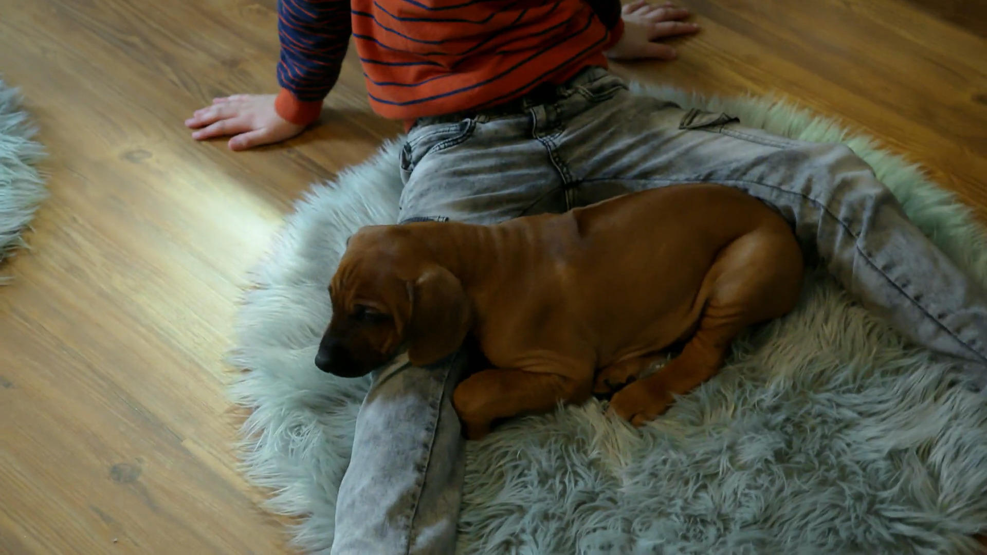 Konrad darf die Kinderzimmer kennenlernen