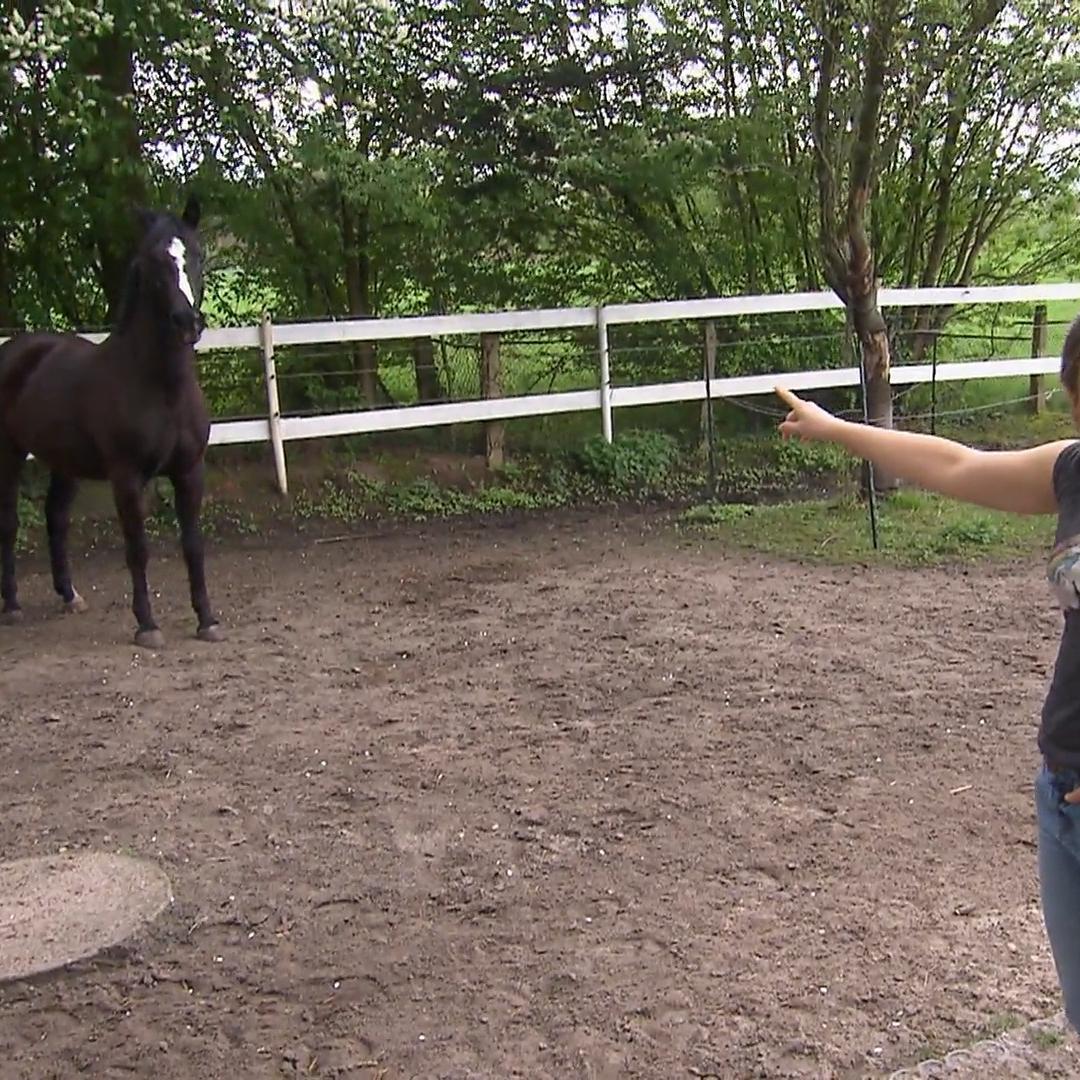 Sie liebt ihre sieben tierischen Mitbewohner