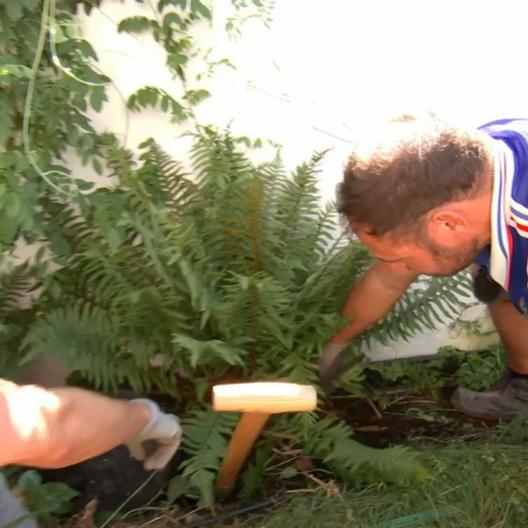 Bei „Ab ins Beet" möchte sich Andi endlich seinen großen Traum erfüllen.