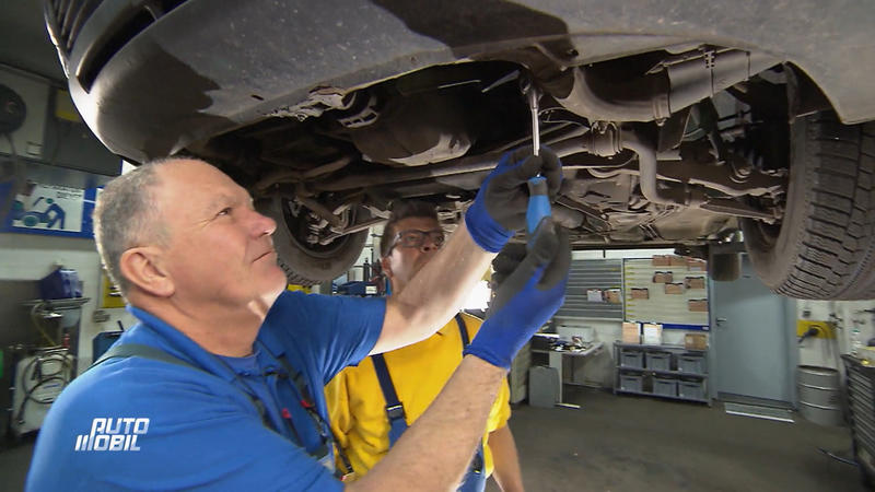 Die Autodocs fühlen dem Passat auf den Zahn