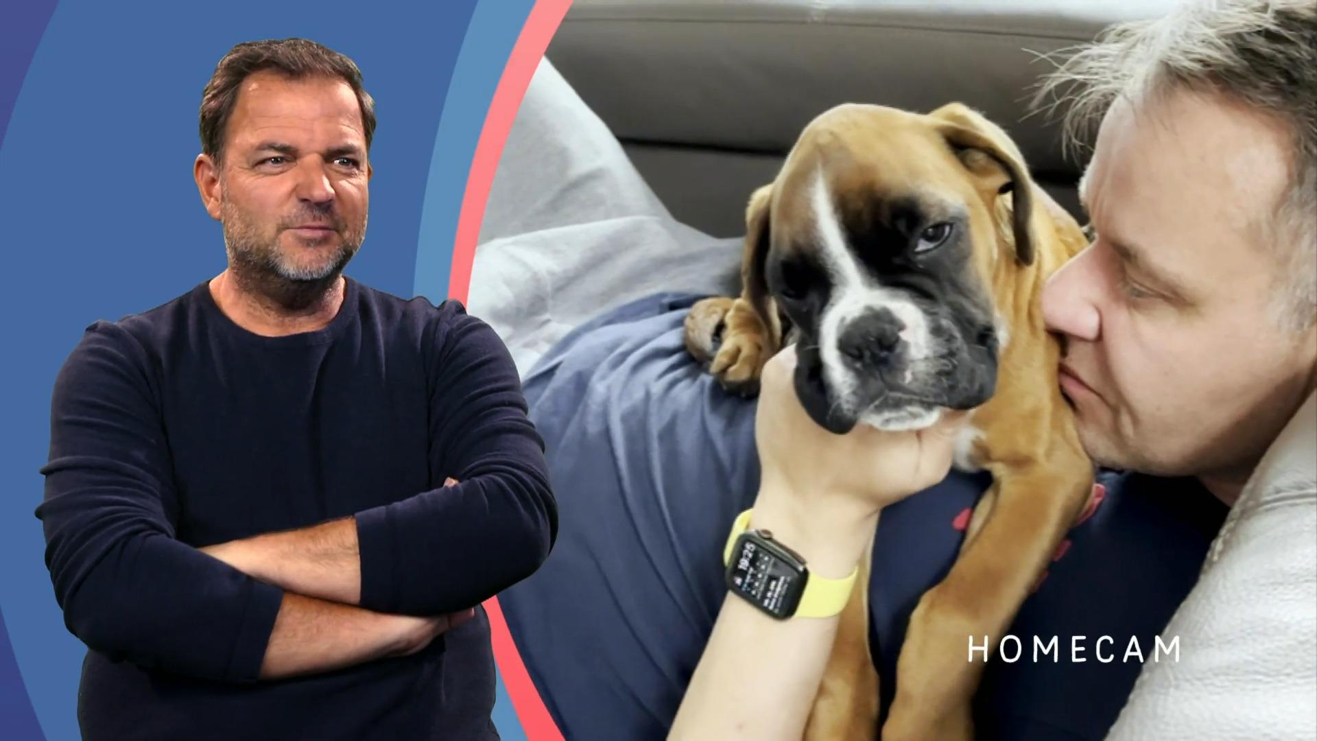 Neuer Welpe tritt in große Pfotenstapfen