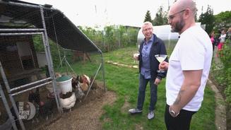 Georg präsentiert seine schönen Hühner