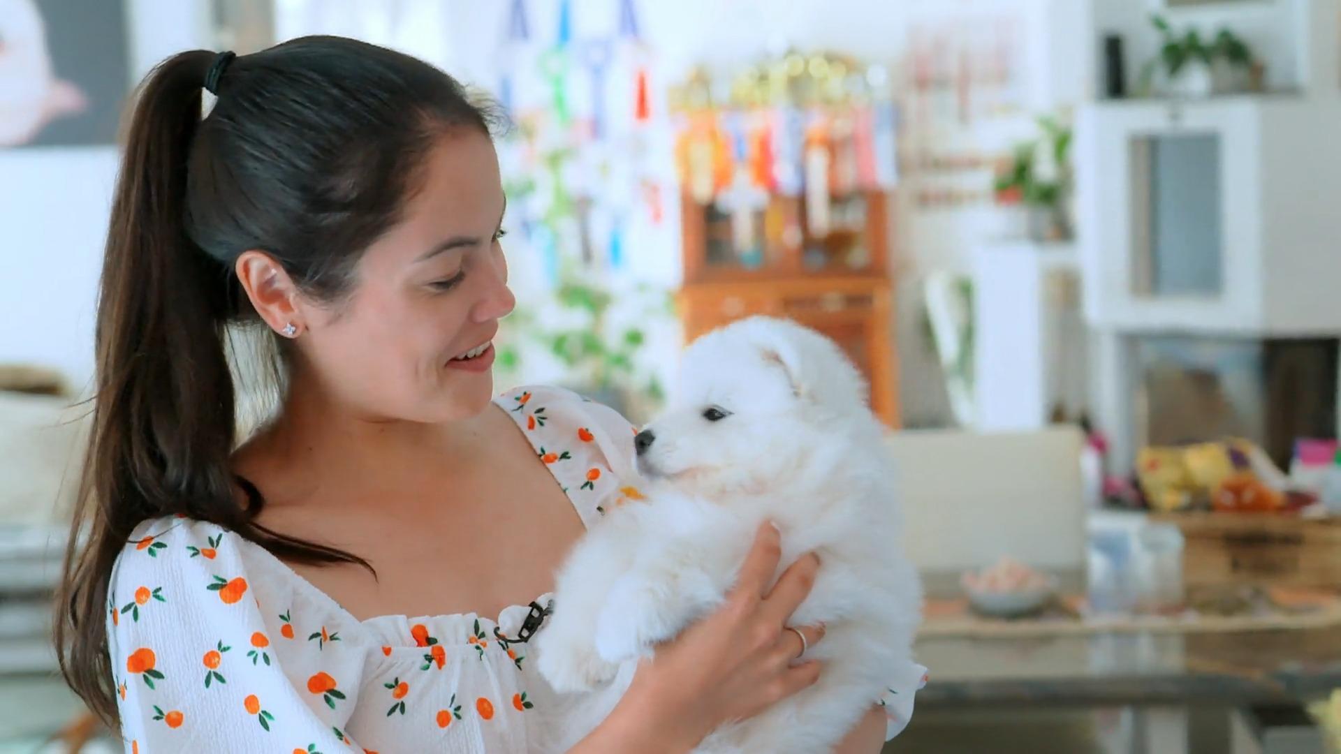 Welpen-Prinzessin Bounty