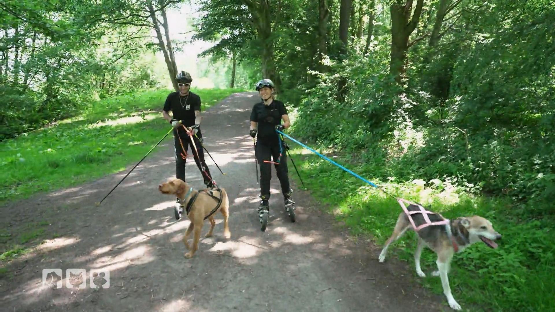 Geländetaugliche Rollerblades mit Hund