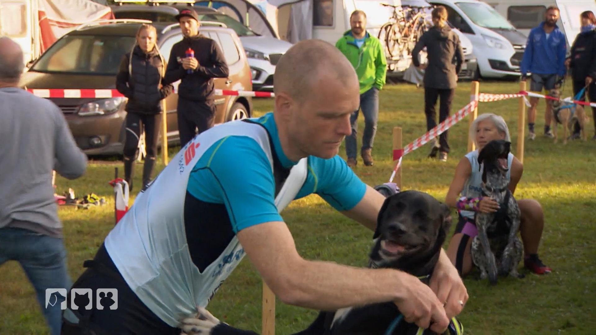 Triathlon für Hund und ihre Menschen