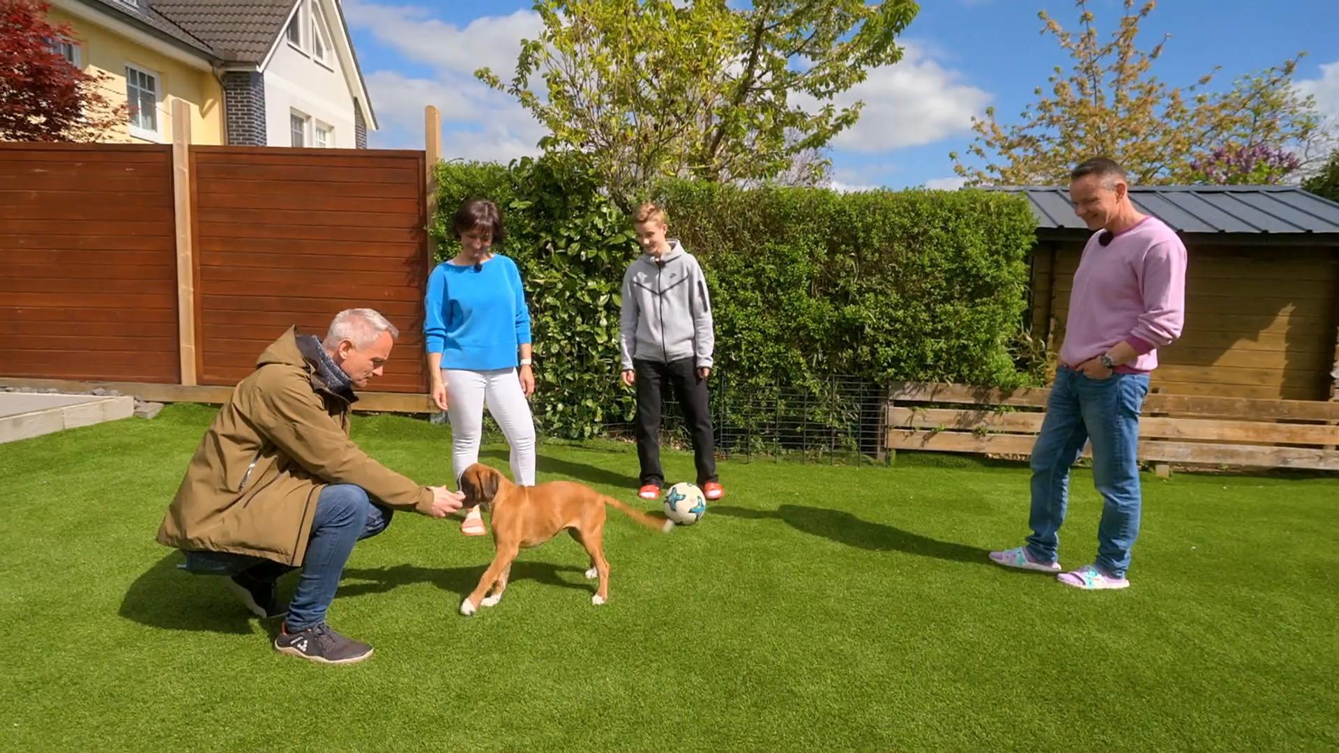 Kriegt er Tamis spitze Zähne in den Griff?