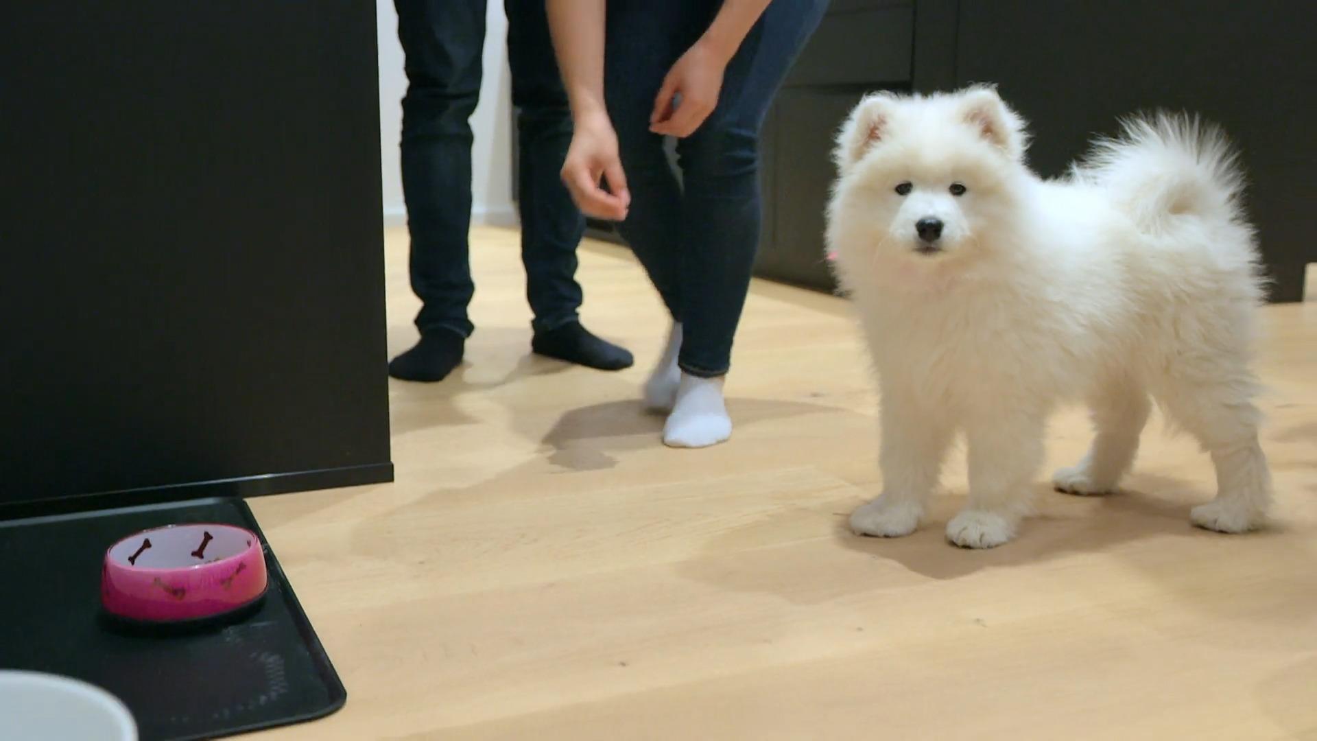 Fellkind Bounty rührt sein Futter nicht an