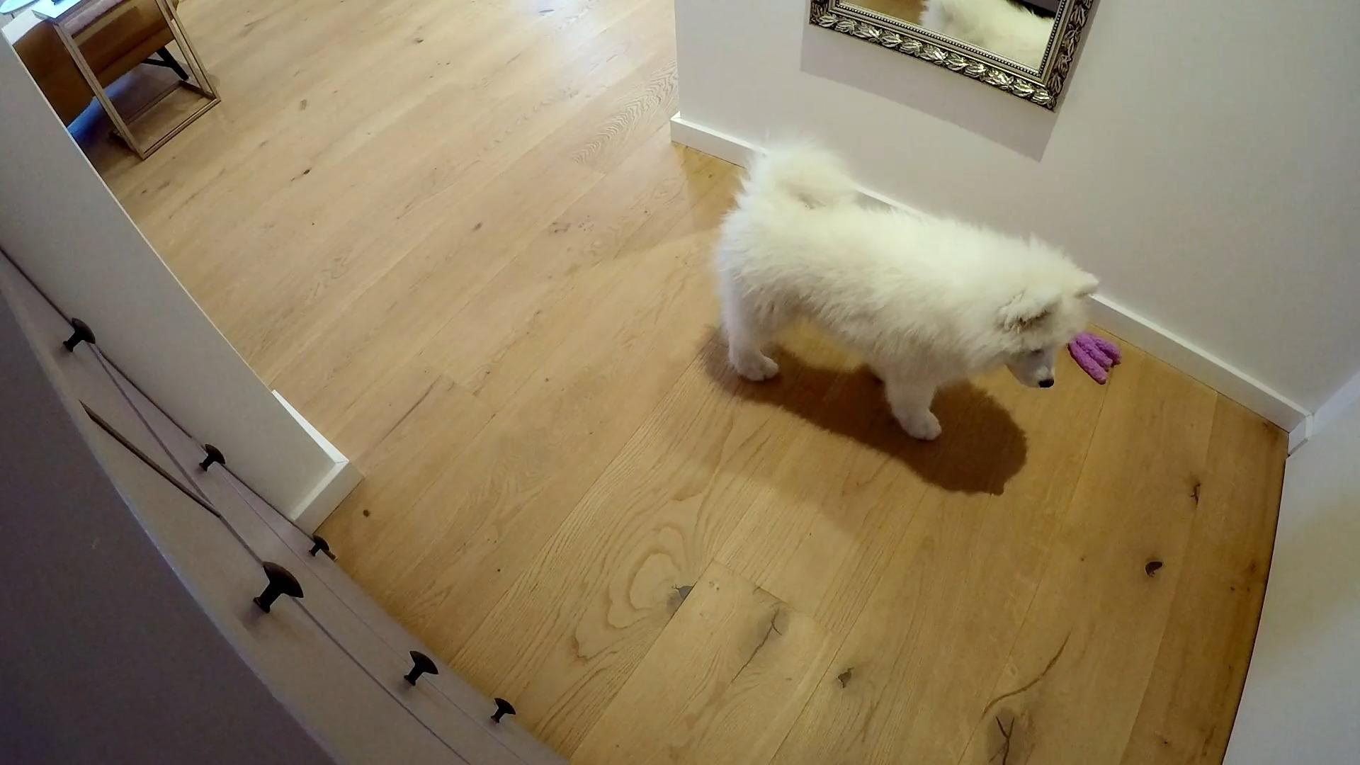 Alleinbleiben muss trainiert werden