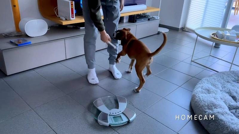 Welpe Tami ist bissig!