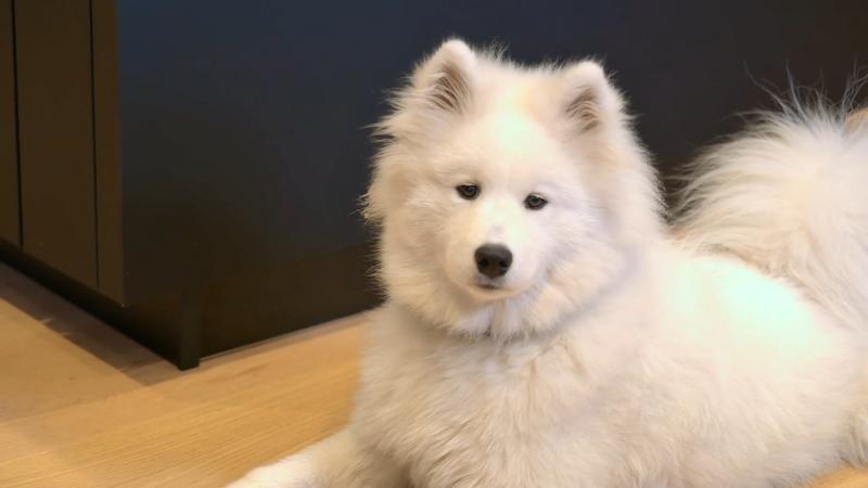 Bounty muss ruhig bleiben