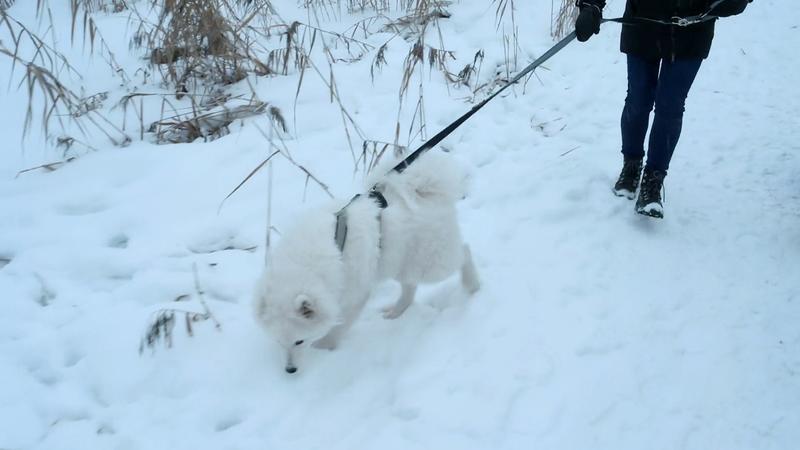 Bounty in der Tiroler Schneelandschaft