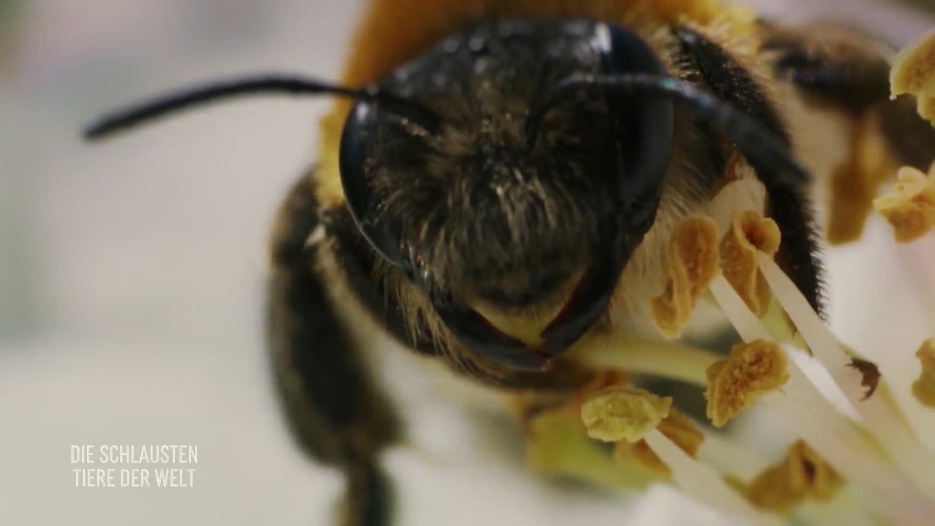 Größer heißt nicht immer besser!
