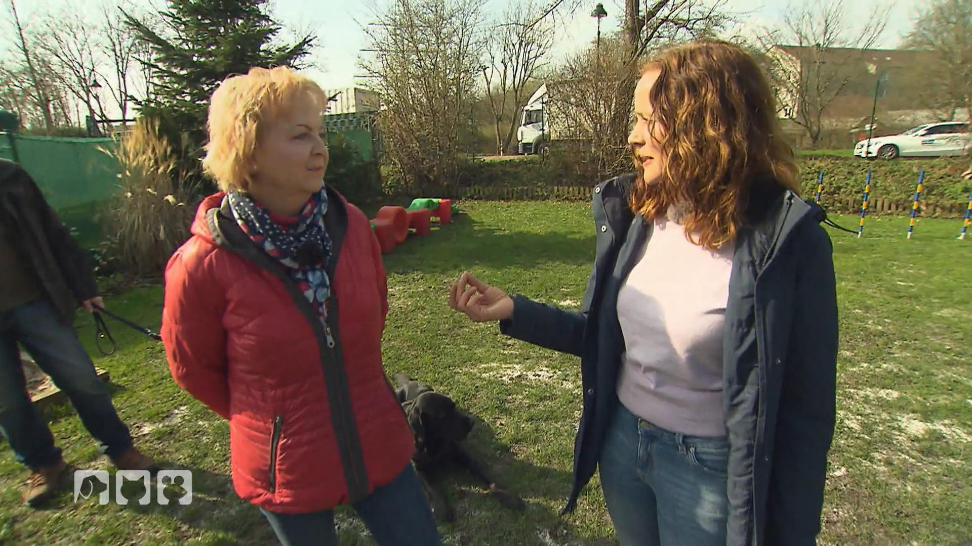 Giftköder - So kann man sich der Angst stellen