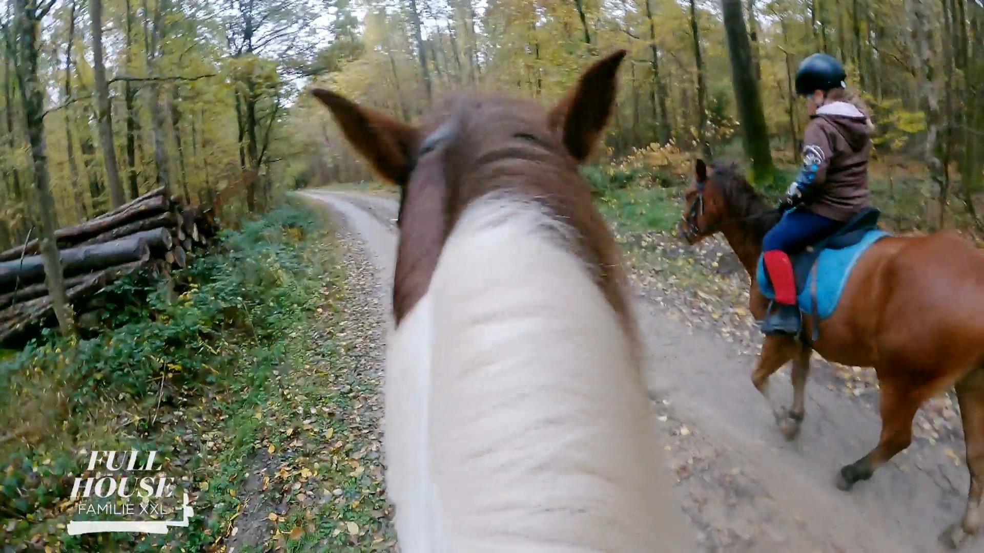 Jetzt wird galoppiert