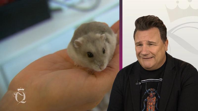 Bei diesen Tierchen wird es Guido ganz anders