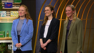 Werden die Löwen Kindermarkt revolutionieren