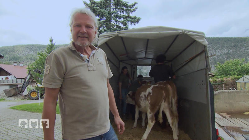 Rettung für die Kälber dank Lebenshof