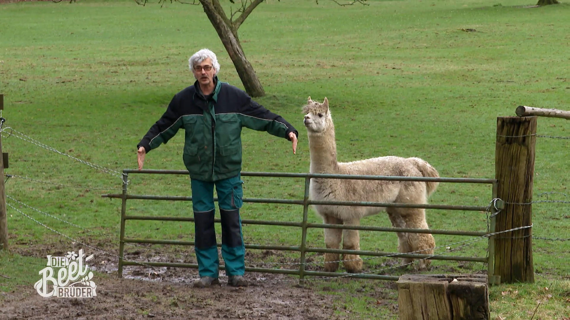 Ralf plant ein Kunstwerk für den Hof