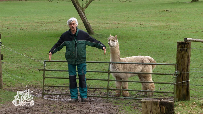 Ralf plant ein Kunstwerk für den Hof