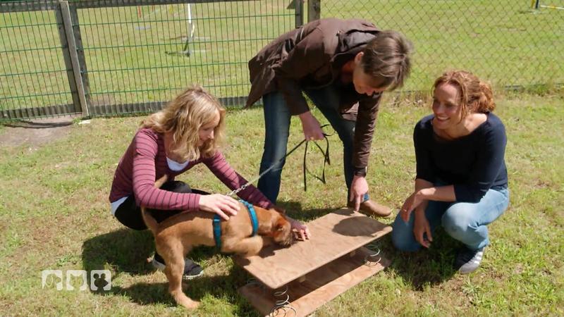 Das ist bei Welpen besonders wichtig