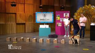 Eine Früherkennung, die die Löwen begeistert