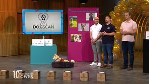 Lungenkrebs-Vorsorge mit Hilfe von Hunden