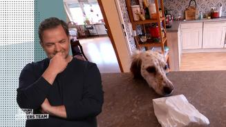 Wandas Nase führt sie immer zum Futter