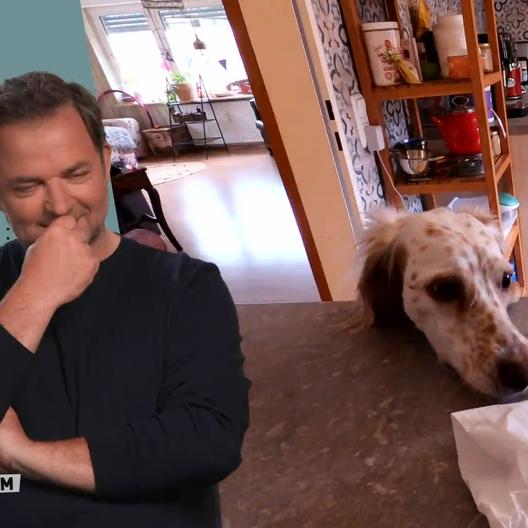 Vor Wanda ist nichts Essbares sicher