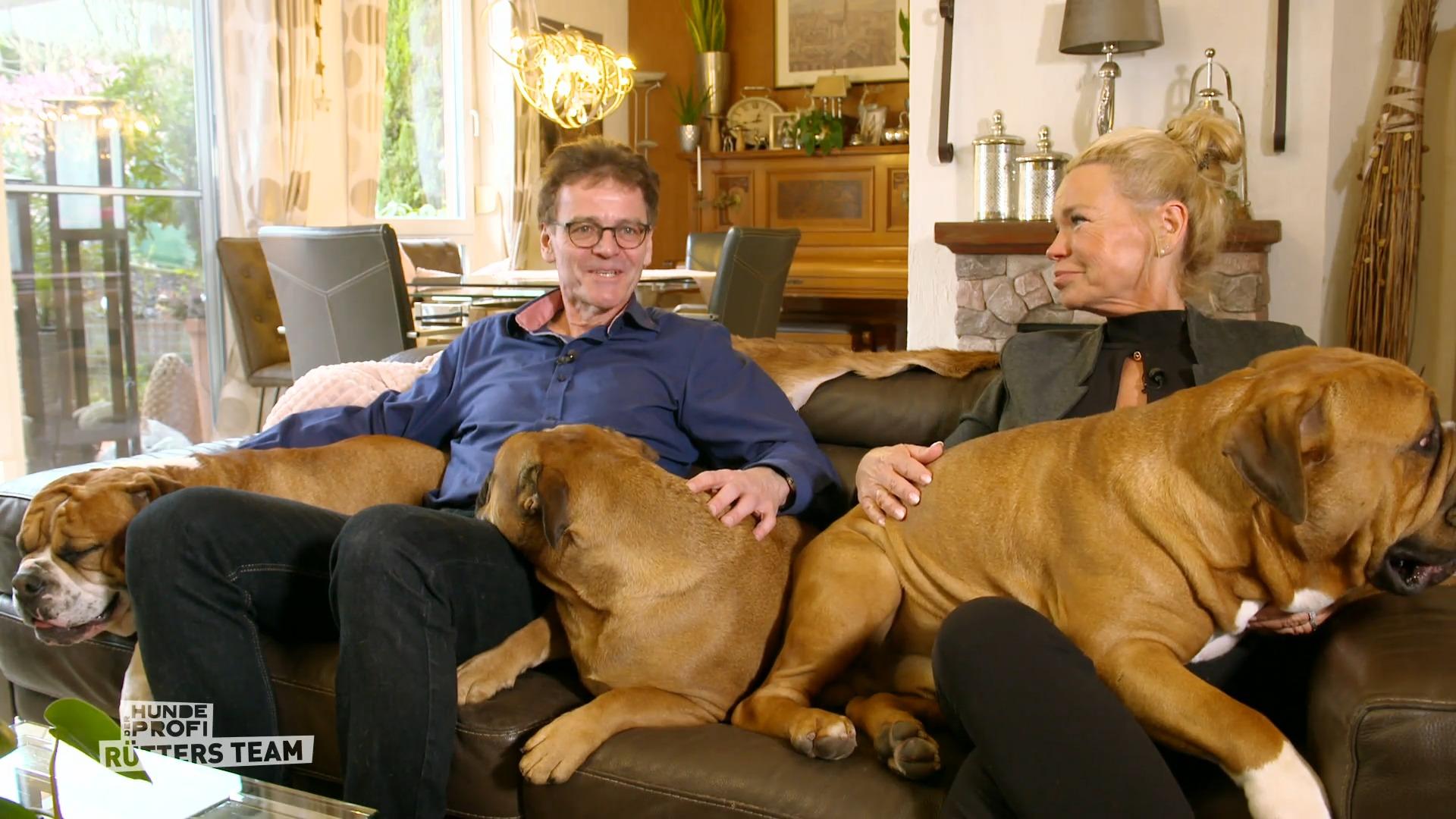 Continental Bulldogge rastet draußen aus