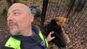 Rüde Ace gefangen – doch was passiert jetzt mit ihm?